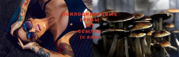 мет Абаза