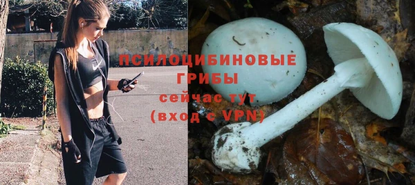 сатива Абинск