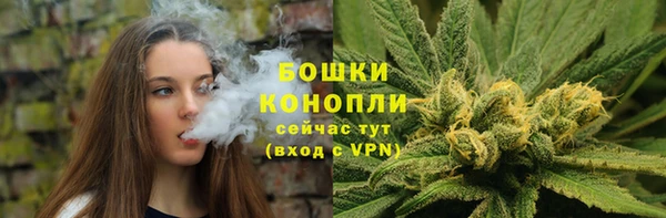 прущий лед Рославль