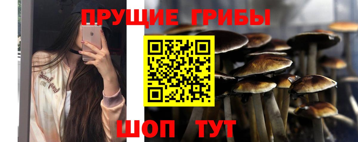 Галлюциногенные грибы GOLDEN TEACHER Краснодар
