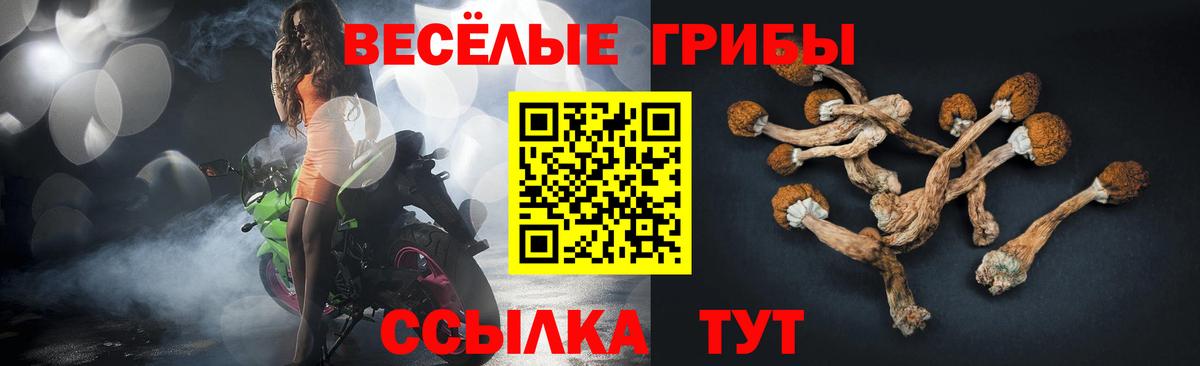 Псилоцибиновые грибы мухоморы  Вход с VPN  Псилоцибиновые грибы мухоморы  Краснодар 